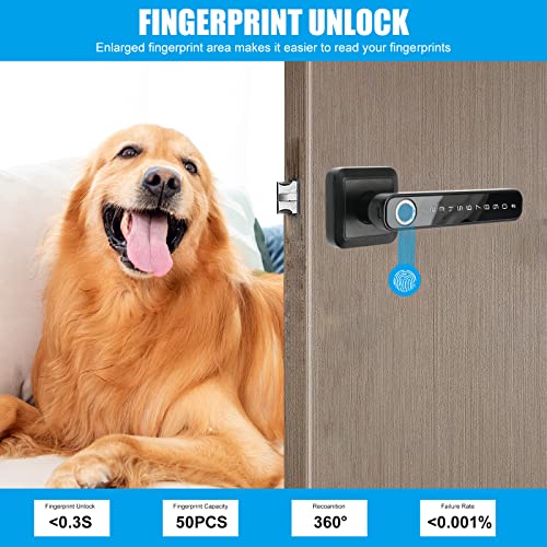 Smart Fingerprint Door Lock - Black