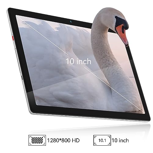 FancyDay 10" Android Tablet with Quad-core Processor
