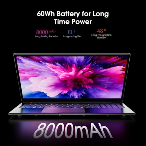 17.3-Inch Laptop: Intel Celeron, 512GB SSD, FHD