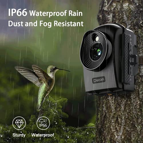 Outdoor Time Lapse Camera, 1080P, Waterproof
