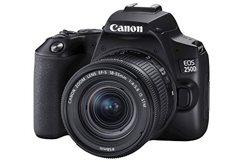 Canon EOS 250D Black Digital Camera + Lens
