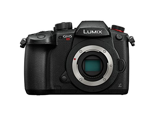 Panasonic LUMIX DC-GH5SE-K Mirrorless Camera Body - Black