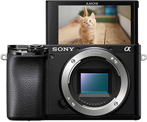 Sony Alpha 6100 | Fast Autofocus, Animal Eye Tracking Camera