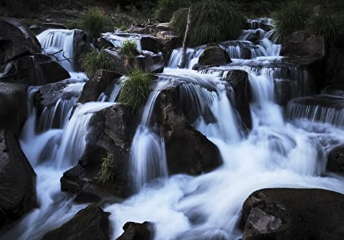 OM SYSTEM OM-5 Four Thirds System Camera