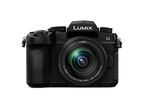 Panasonic LUMIX Compact Mirrorless Camera with Lens - Black