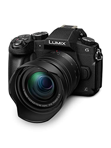 Panasonic LUMIX DMC-G80MEB-K Camera + 12-60mm Lens