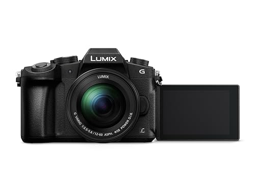 Panasonic LUMIX DMC-G80MEB-K Camera + 12-60mm Lens