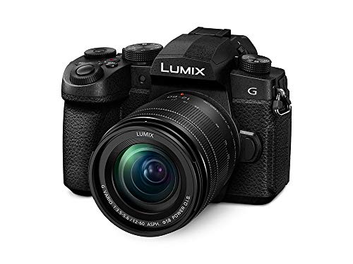 Panasonic LUMIX Compact Mirrorless Camera with Lens - Black
