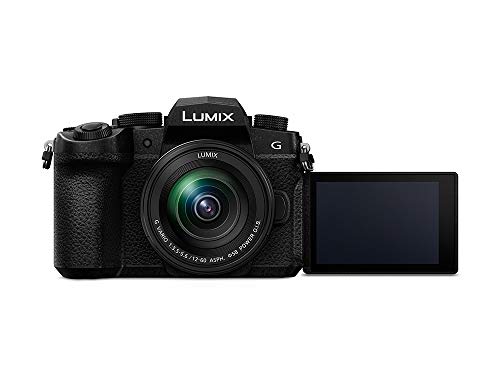 Panasonic LUMIX Compact Mirrorless Camera with Lens - Black