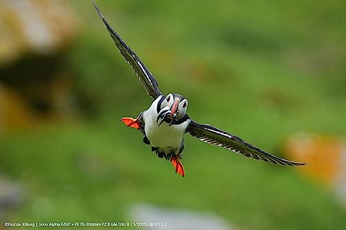 Sony Alpha 6700: APS-C Mirrorless Camera