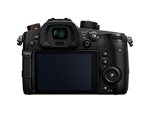 Panasonic LUMIX DC-GH5SE-K Mirrorless Camera Body - Black