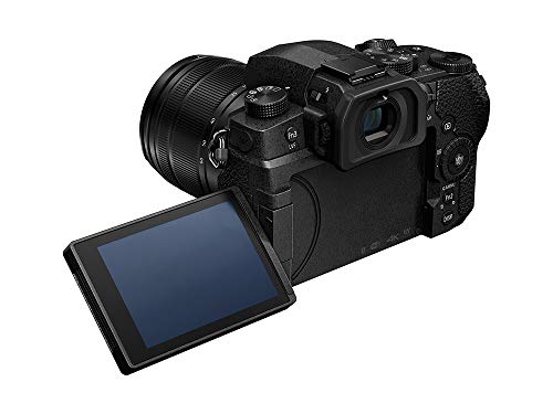 Panasonic LUMIX Compact Mirrorless Camera with Lens - Black