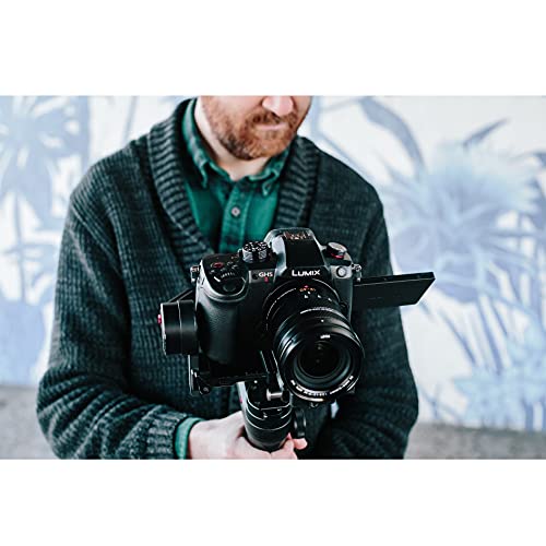Panasonic GH5M2 Mirrorless Camera with 12-60mm Lens
