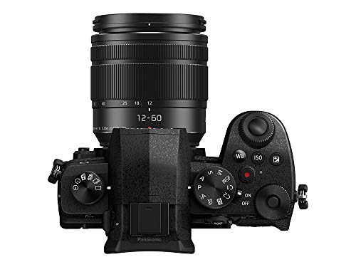 Panasonic LUMIX Compact Mirrorless Camera with Lens - Black