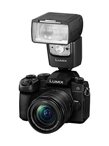 Panasonic LUMIX Compact Mirrorless Camera with Lens - Black