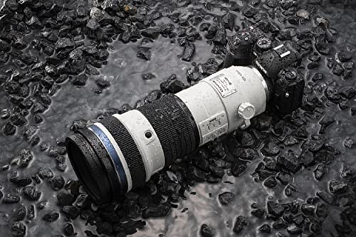 OM-1 Micro Four Thirds System Camera, 20MP, Black