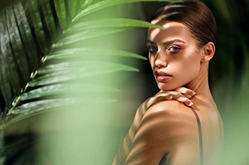 Nikon Z7 II Camera: 45.8MP, ISO, 10fps Shooting