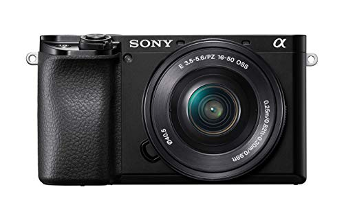 Sony Alpha 6100 | Mirrorless Camera with Zoom Lenses