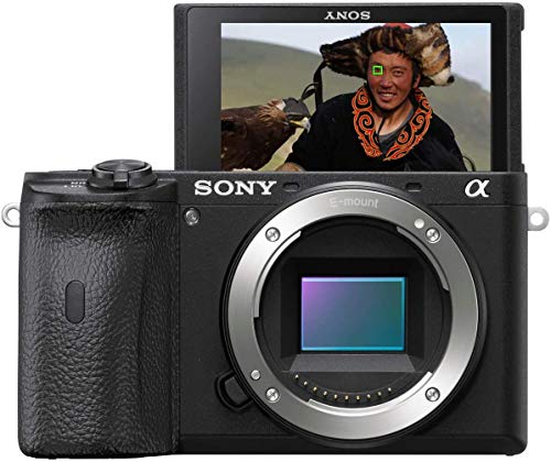 Sony Alpha 6600 | Fast Autofocus Mirrorless Camera