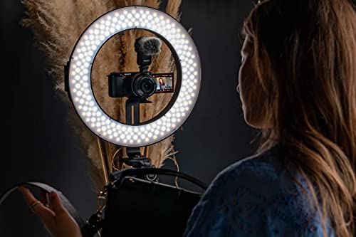 Sony ZV-E10L Mirrorless Camera - 4K Video, Vlogging, Autofocus