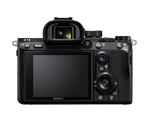 Sony Alpha 7 III | Mirrorless Camera with Zoom Lens