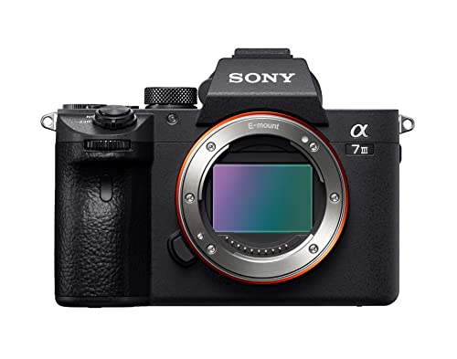 Sony Alpha 7 III | Mirrorless Camera with Zoom Lens