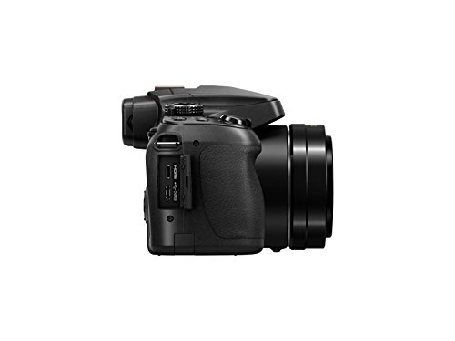 Panasonic LUMIX DC-FZ82EB-K Ultra Wide Camera - Black
