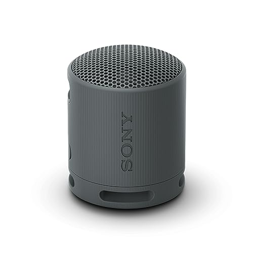 Sony SRS-XB100 Wireless Portable Bluetooth Speaker - Black