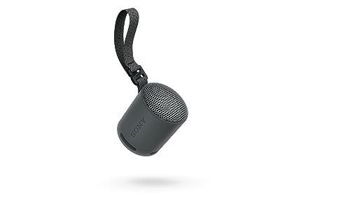 Sony SRS-XB100 Wireless Portable Bluetooth Speaker - Black