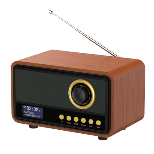 DAB/DAB+ Digital Radio with FM, Bluetooth Speaker
