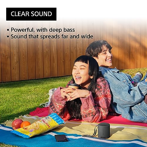 Sony SRS-XB100 Wireless Portable Bluetooth Speaker - Black