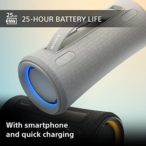 Sony Grey Portable Speaker