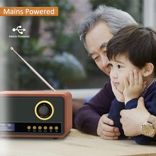 DAB/DAB+ Digital Radio with FM, Bluetooth Speaker