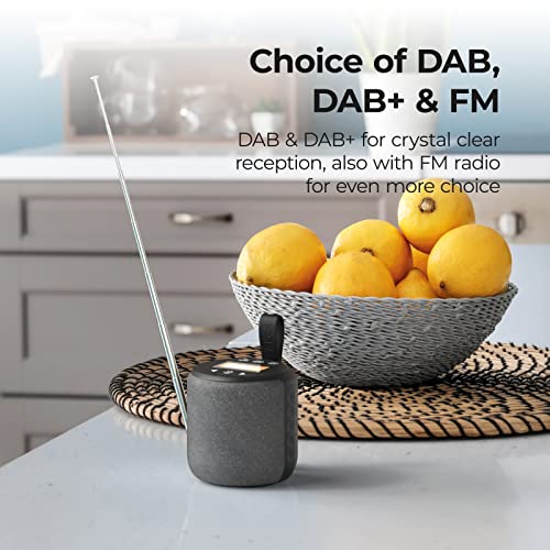 Portable DAB Bluetooth Speaker, Splashproof, Rechargeable