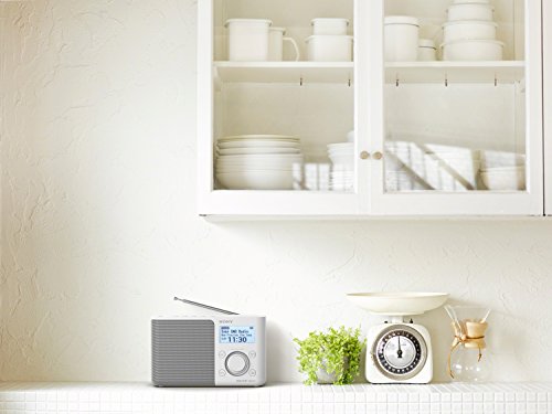Sony XDR-S61D Portable Digital Radio - White