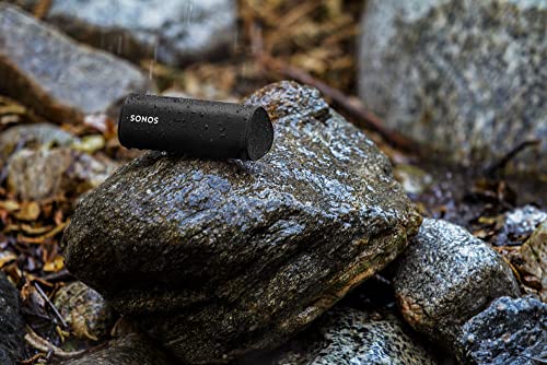 Compact Sonos Roam SL Speaker: Immersive Sound Anywhere