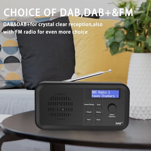DAB/DAB+ Digital Radio & FM Radio: Portable & Rechargeable