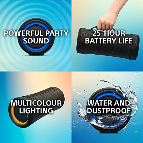 Sony Grey Portable Speaker