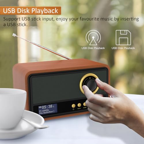 DAB/DAB+ Digital Radio with FM, Bluetooth Speaker