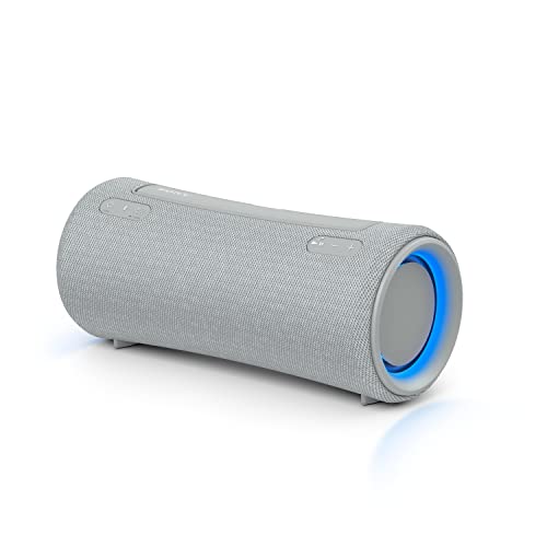 Sony Grey Portable Speaker