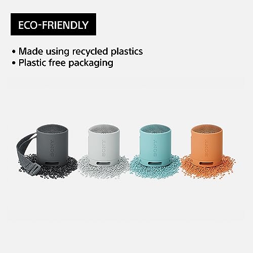 Sony SRS-XB100 Wireless Portable Bluetooth Speaker - Black
