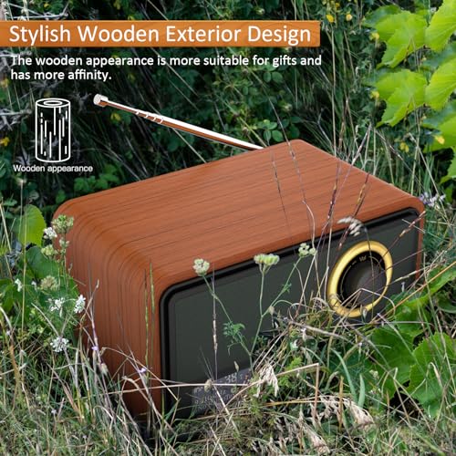 DAB/DAB+ Digital Radio with FM, Bluetooth Speaker