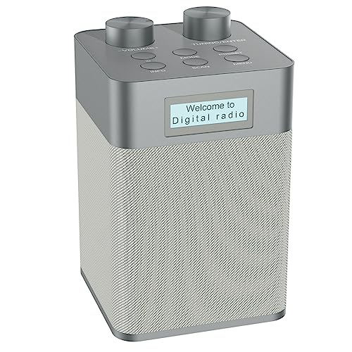 Portable Bluetooth DAB Radio with MP3 Player