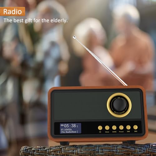 DAB/DAB+ Digital Radio with FM, Bluetooth Speaker