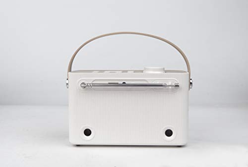 Roxel RDR-40 Portable Stereo DAB Speaker