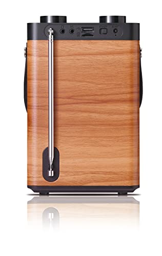 Roxel Portable DAB/FM Radio with Dual Alarm & Snooze
