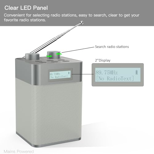 Portable Bluetooth DAB Radio with MP3 Player