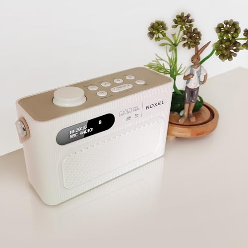 Roxel RDR-40 Portable Stereo DAB Speaker