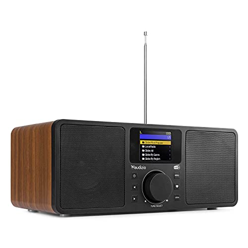 Audizio Rome WIFI DAB Digital Stereo Speaker
