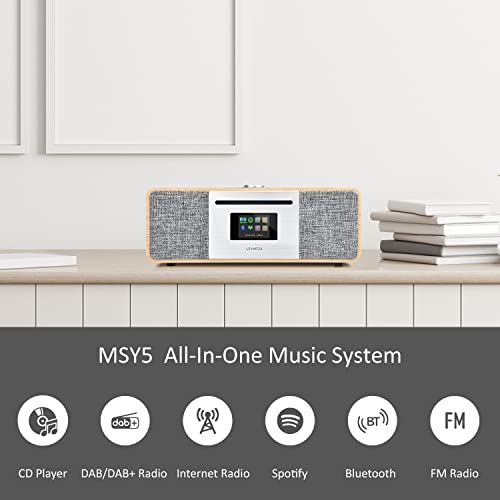 LEMEGA DAB Radio with CD Player, WiFi